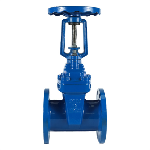 Z41X明杆软密封闸阀